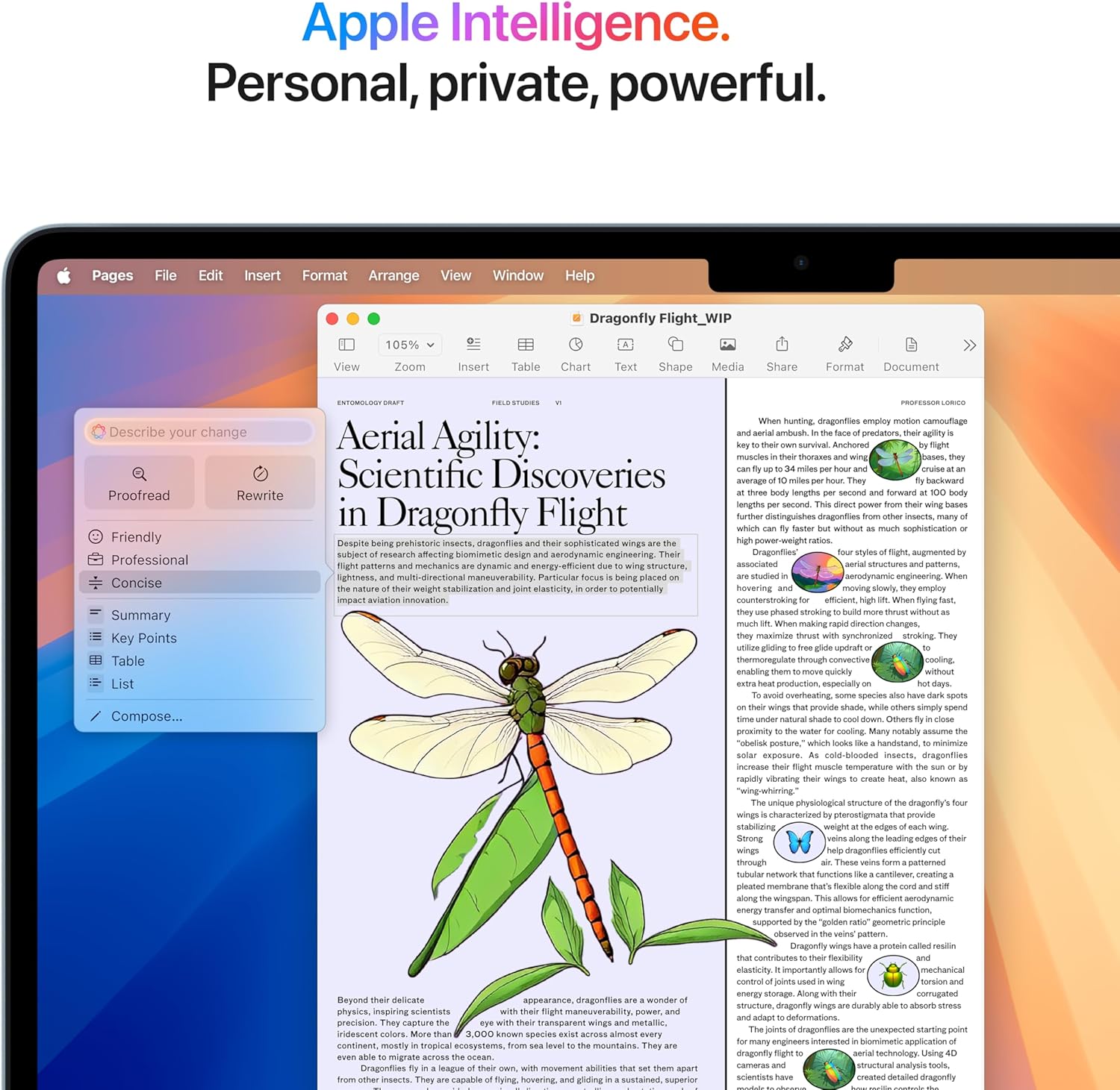Apple 2025 MacBook Air - Full Review